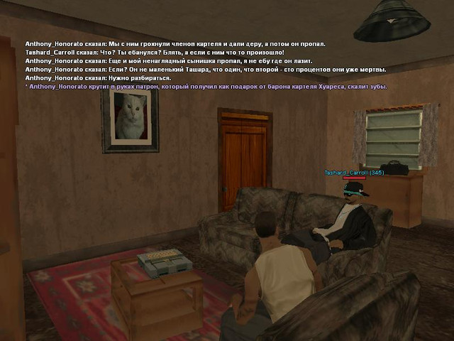 gallery217.jpg