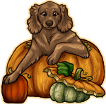 Pumpkin-Base.png