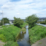 P1350088