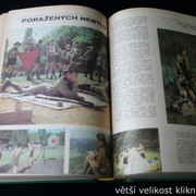 IMG-2461