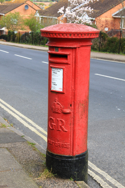 IMG 6801.jpg