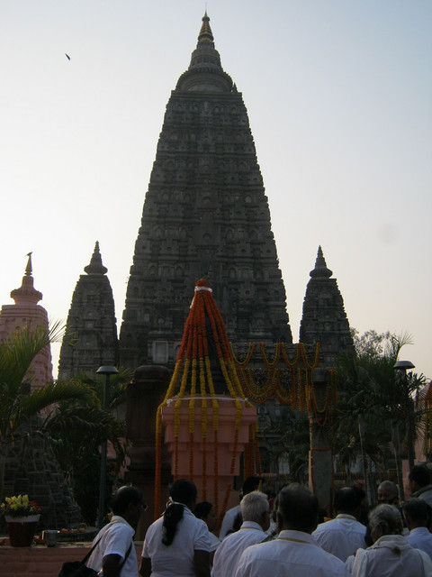 IMG-0954.jpg