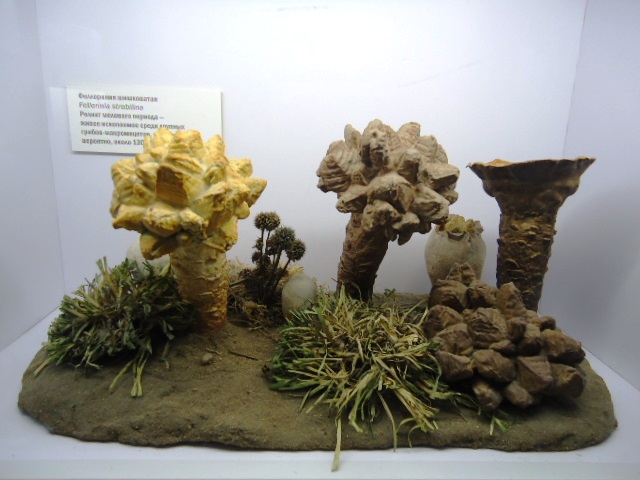 IPB Image
