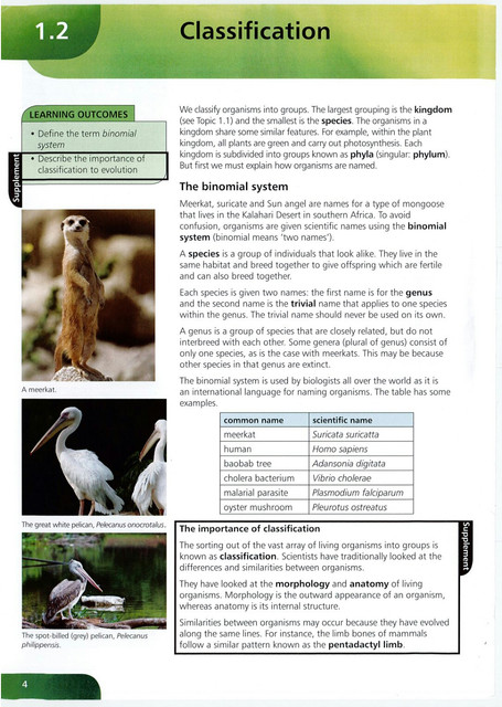 8 Essential Biology for IGCSE