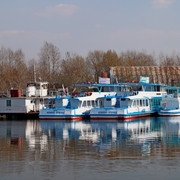 DSC03538