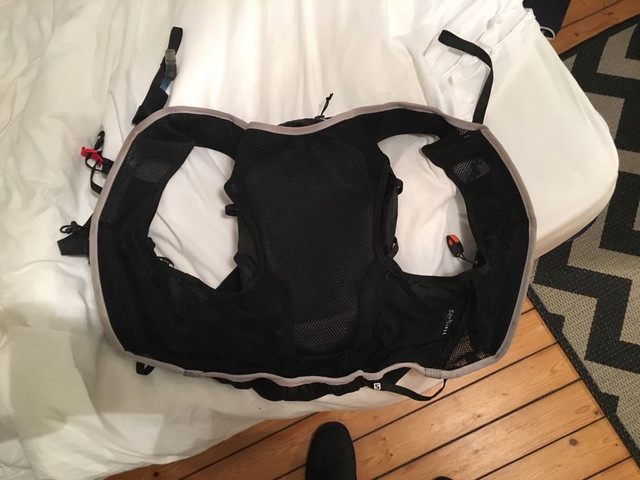 salomon2