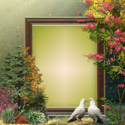 Nature-autumn-Emily50
