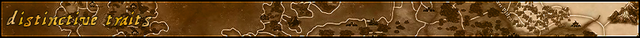 WBW-annals-headers-distinctive-traits.png