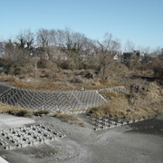 2012-01-06-243