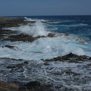 DSCF8199