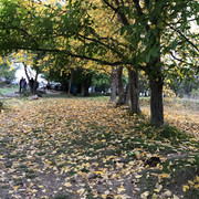 IMG-1461
