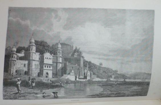 P1110236.jpg