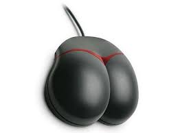 mice.jpg