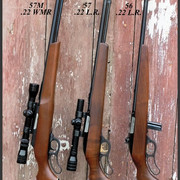 Marlin-Levermatics