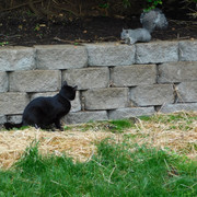 DSCN0342