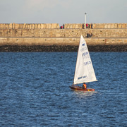 IMGP6871