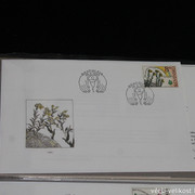 IMG-2783