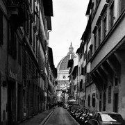 Basilico 2