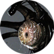 Crawler-S