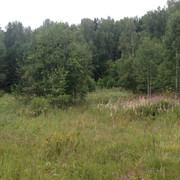 IMG-3986