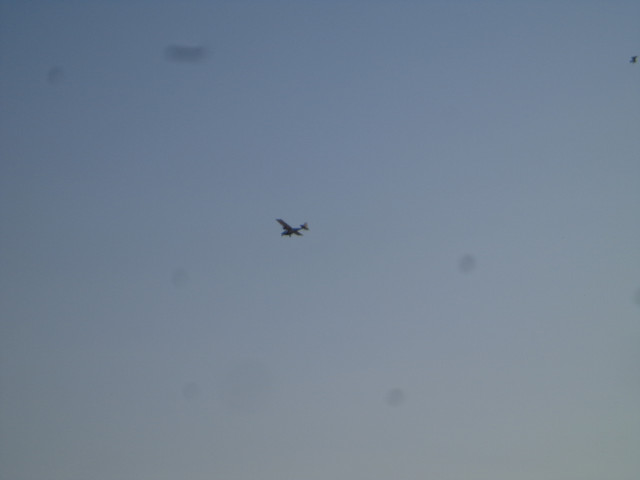 DSC00987