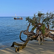 P1290058