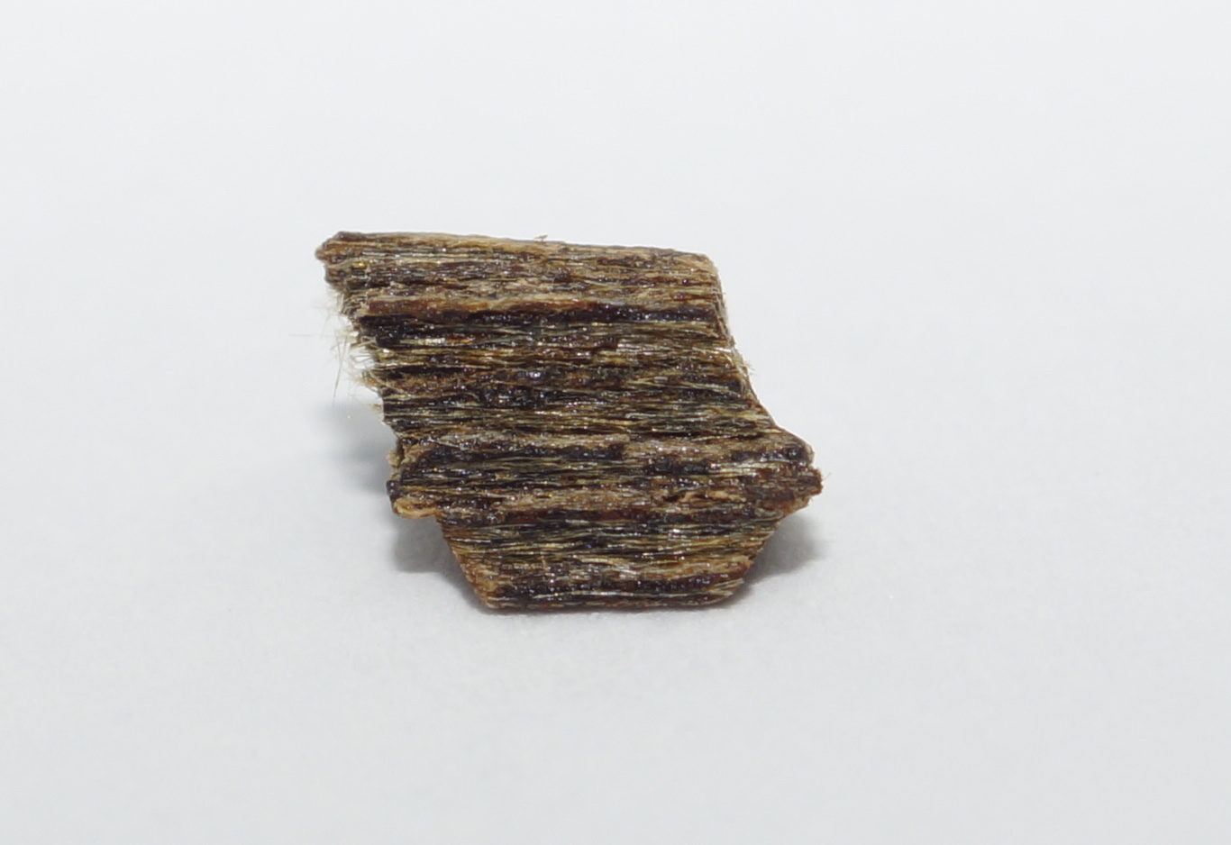 [Ouddict.com] Oud Photos