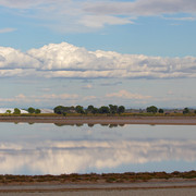 IMG-2408
