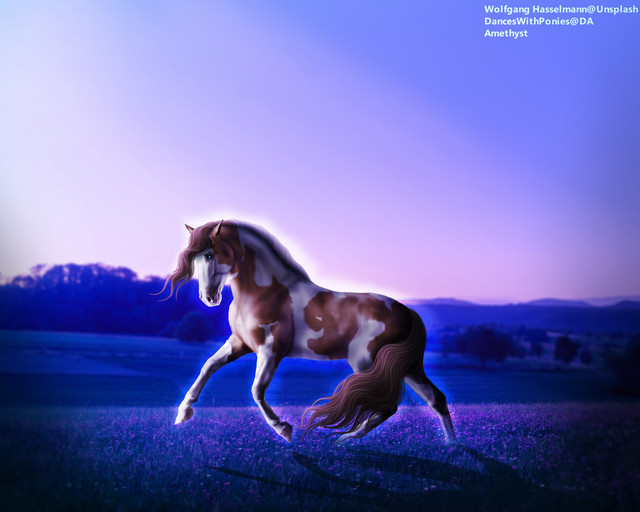 Enchanted-Evening