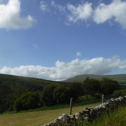 DSCF9087
