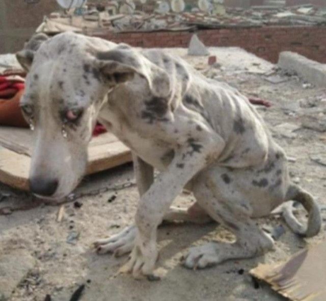 Main Article Image
