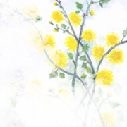 flowers1