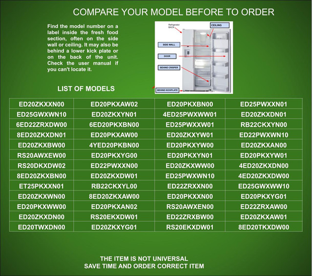 4388286 Models.jpg