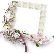 cluster-frame-208