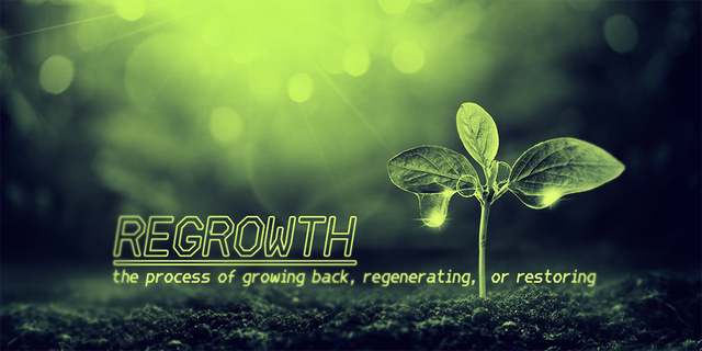 regrowth.png