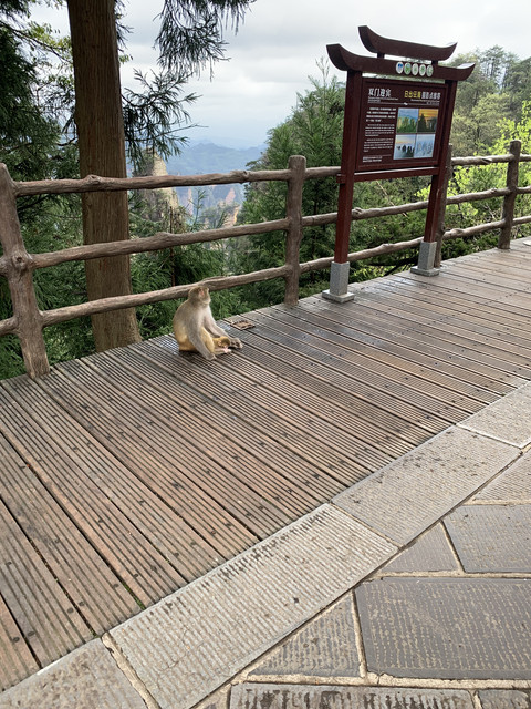 Украденное солнце. Universal Beijing Resort, Гуйлинь, Фужун, Чжанцзяцзе, Фэнхуан, Яншо. 8-17 апреля 2026. Украденное солнце. Universal Beijing Resort, Гуйлинь, Фужун, Чжанцзяцзе, Фэнхуан, Яншо. 8-17 апреля 2026.