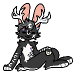 IMG 0764.png