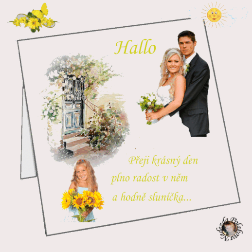 q Gy P8u40gy Vz.gif