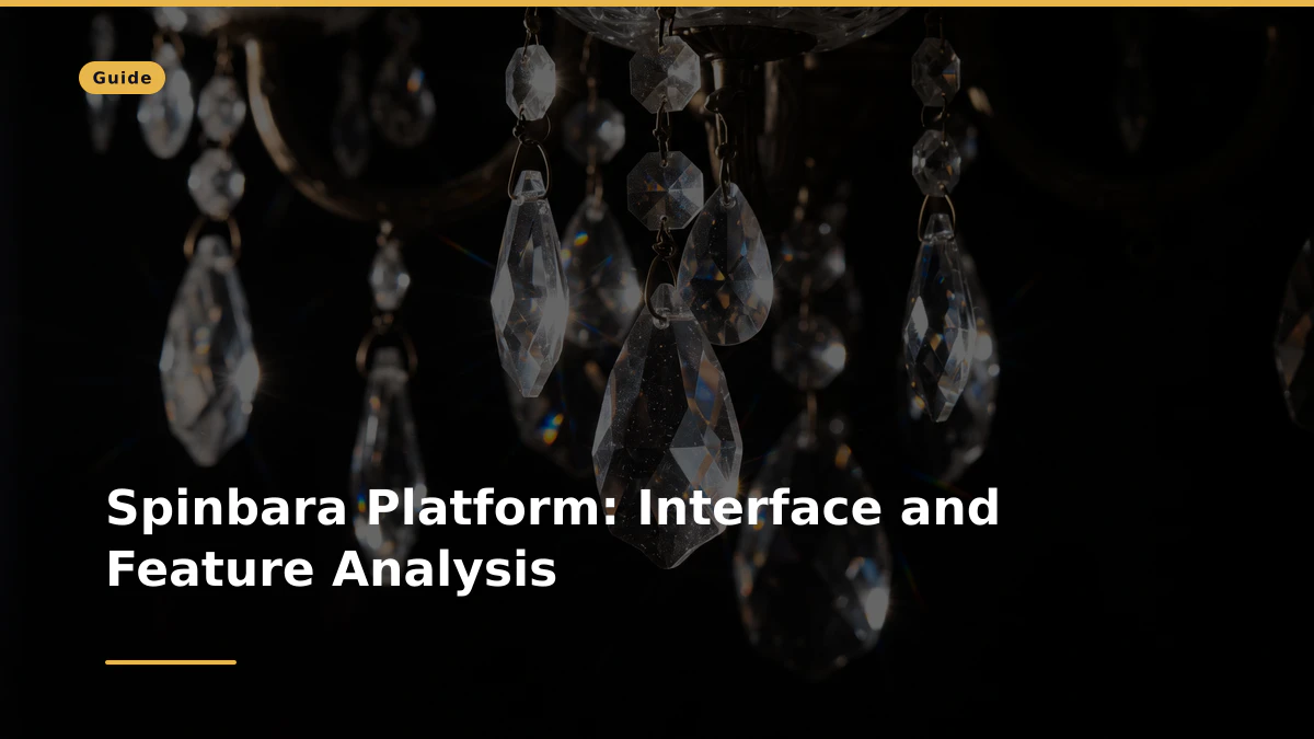 Spinbara Platform: Interface and Feature Analysis