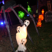 DSC06500