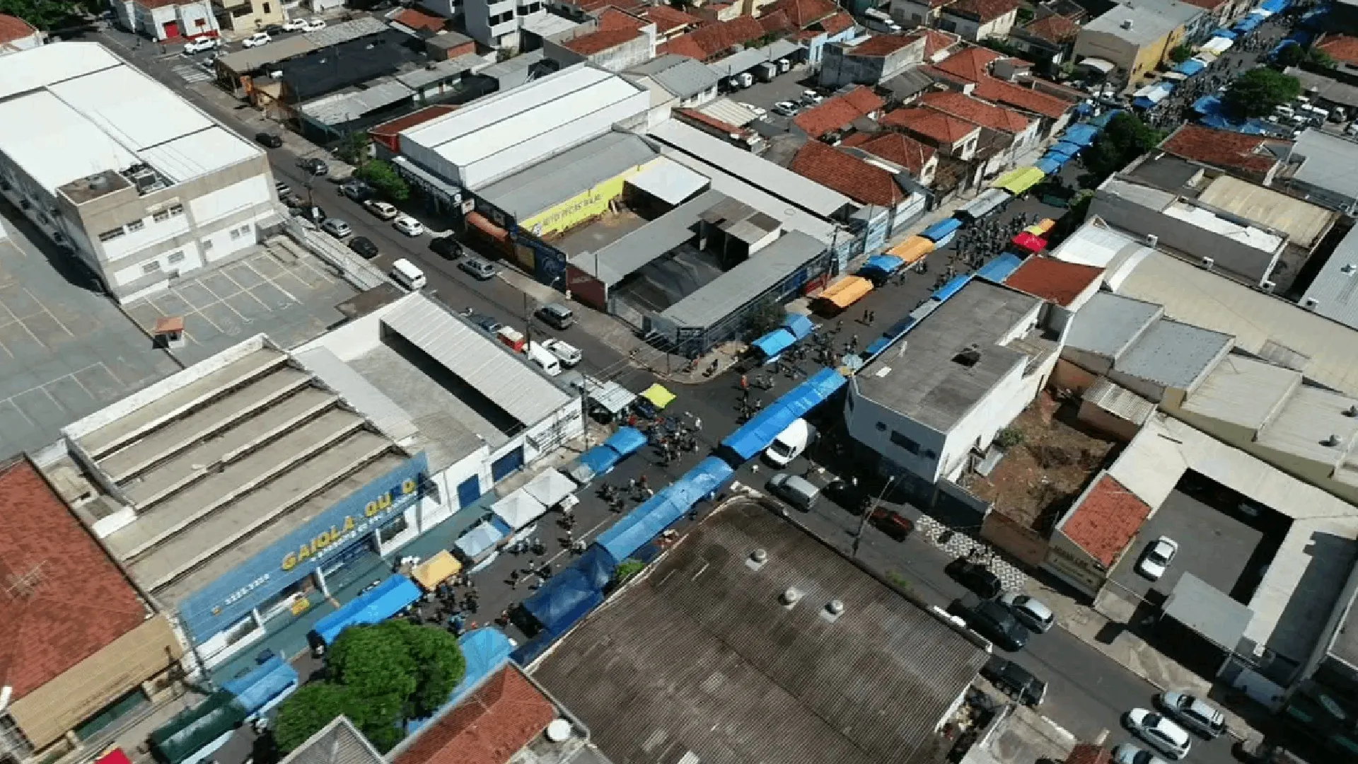 Novo Projeto 2