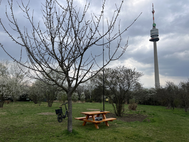 IMG-8768.jpg