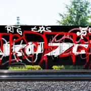 Graffiti artwork by Widzewiak