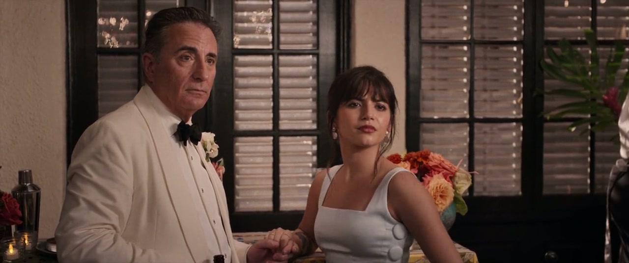 Father of the Bride Screenshot