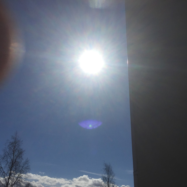 IMG-1770