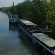 DSCF8987