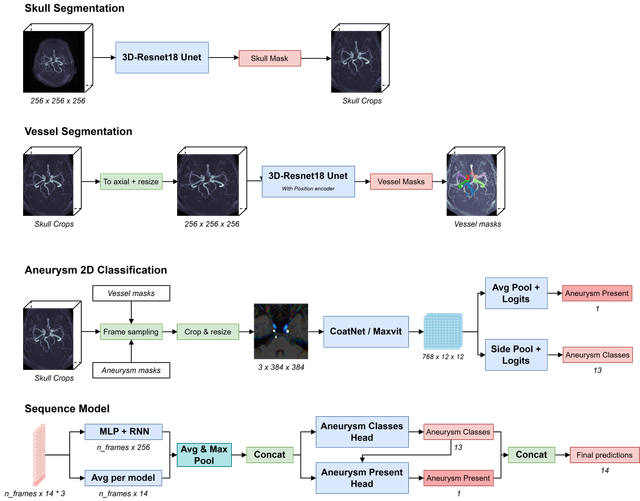 RSNA-An2