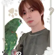 Haewon-Bot-Template8-20250428180132