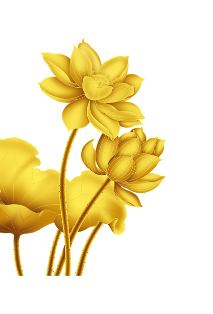 pngwing com (63).png