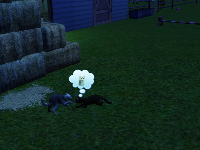 Screenshot-207